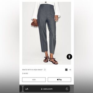 Zara Charcoal Gray Pants